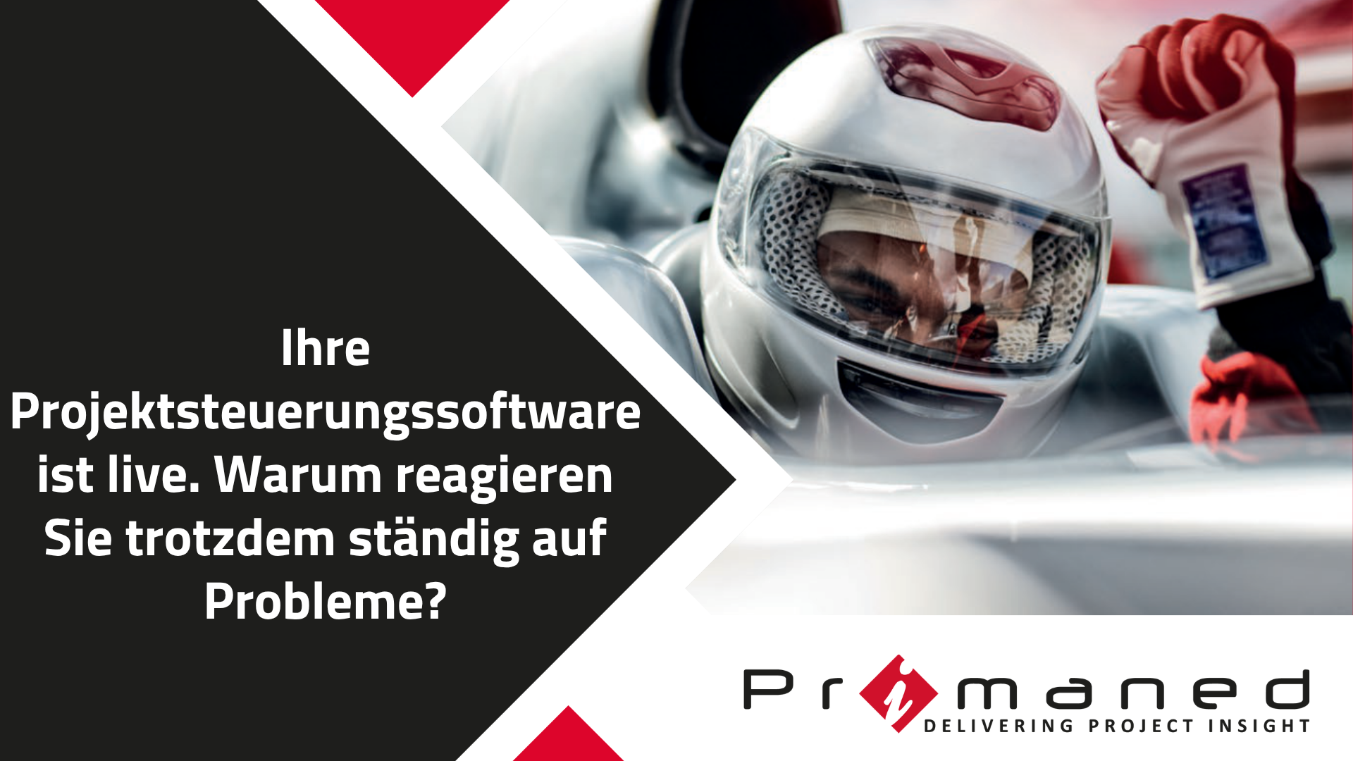 Consultancy white paper - DE