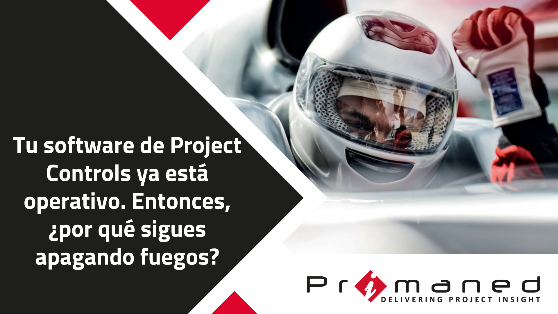 Consultancy white paper - ES