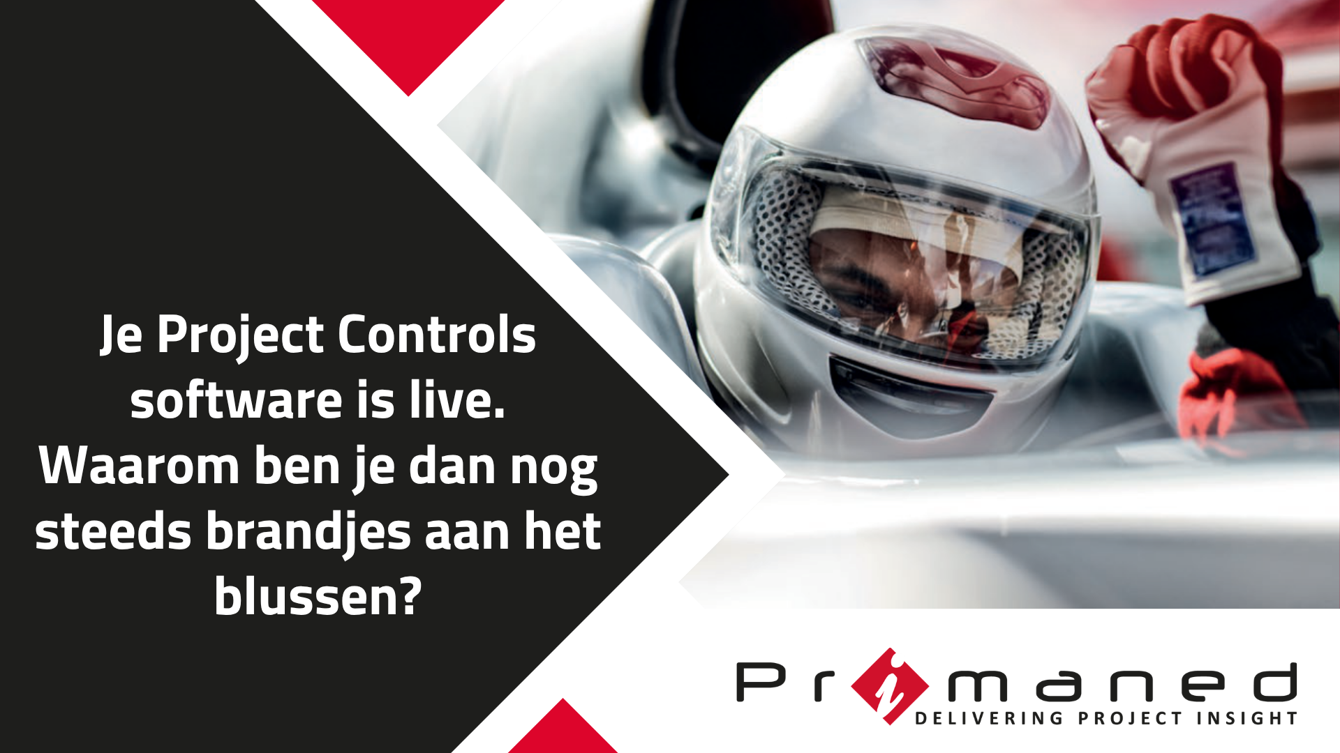 Consultancy white paper - NL